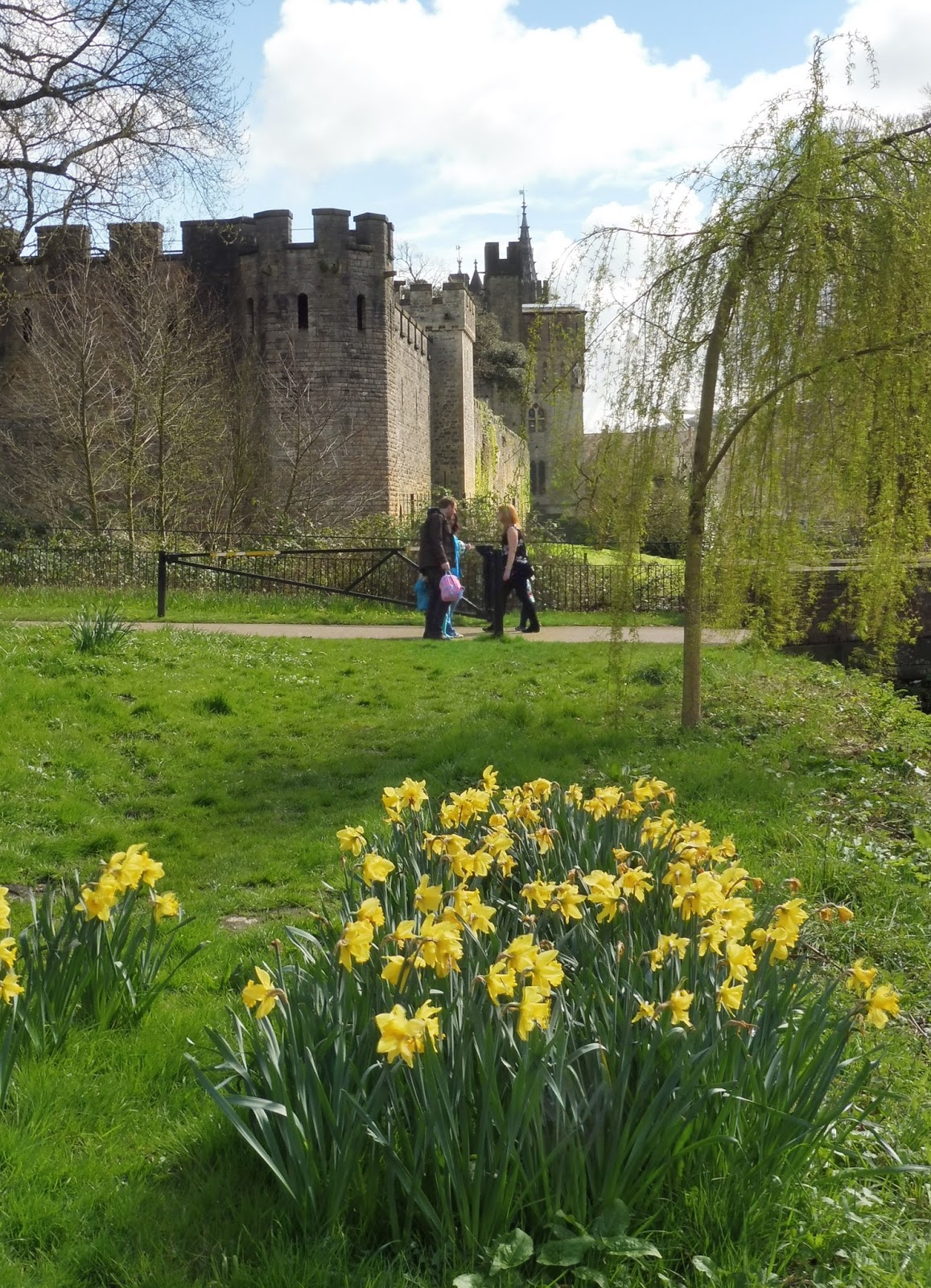 Razón del Gusto: Primavera en Cardiff