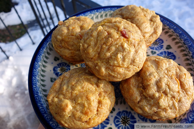 Savory Butternut Squash Soaked Oat Muffins | Farm Fresh Feasts