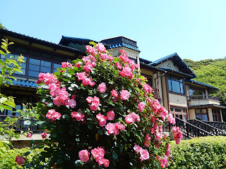 鎌倉文学館のバラ