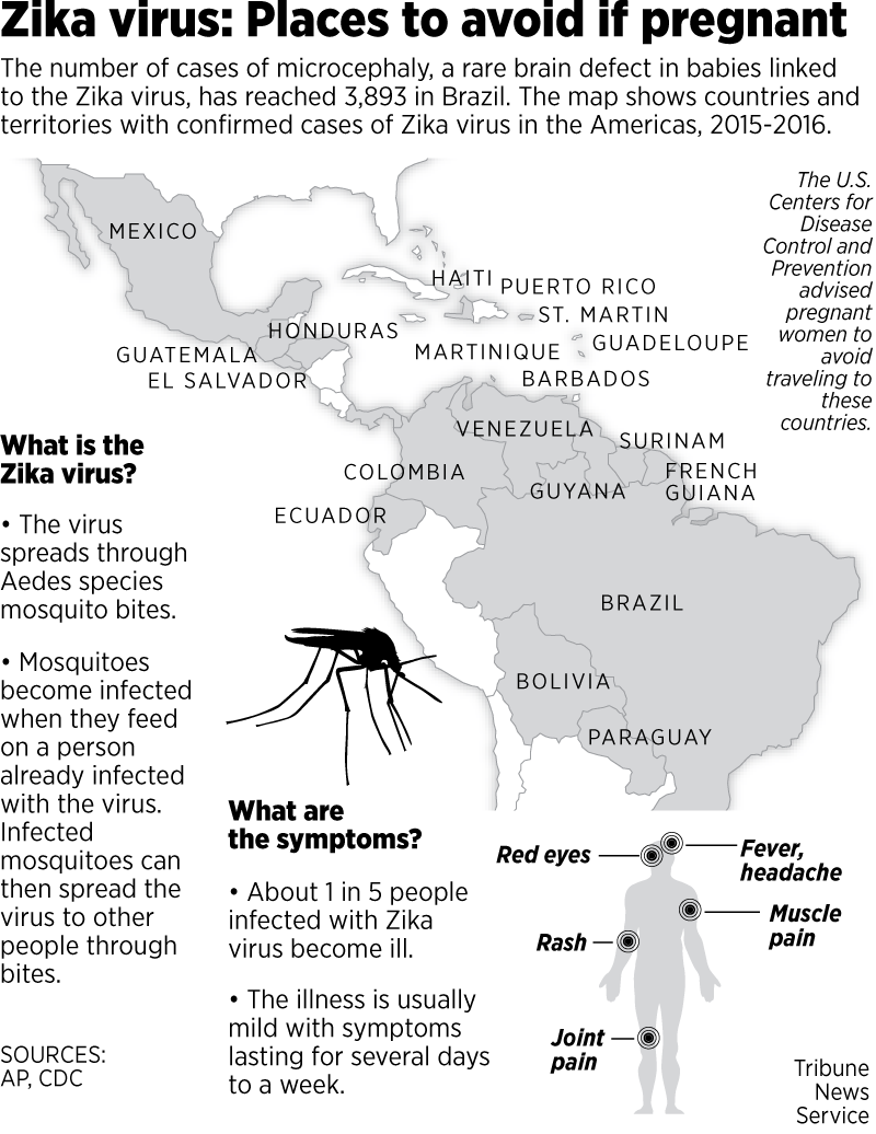 zika virus symtom zika virus symtom