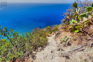 Ischia, Isola d' Ischia, Paesaggi di Ischia, Natura Ischia, La Sgarrupata, La Scarrupata, San Pancrazio Ischia, Sentieri di Ischia, trekking Ischia, 