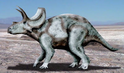 Ojoceratops