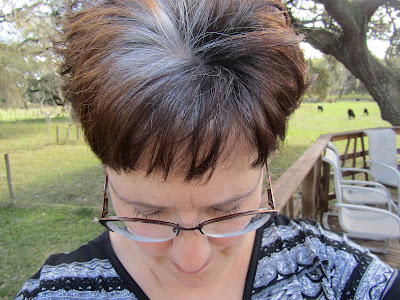 growing out my gray hair www.sewplus.blogspot.com