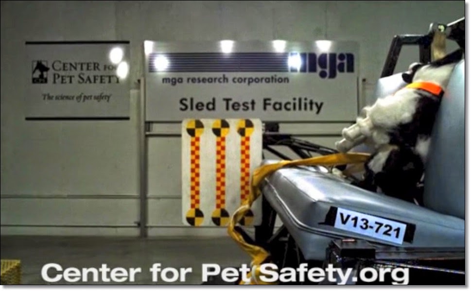 The Pet Tree House Where Pets Are Family Too The Center for Pet