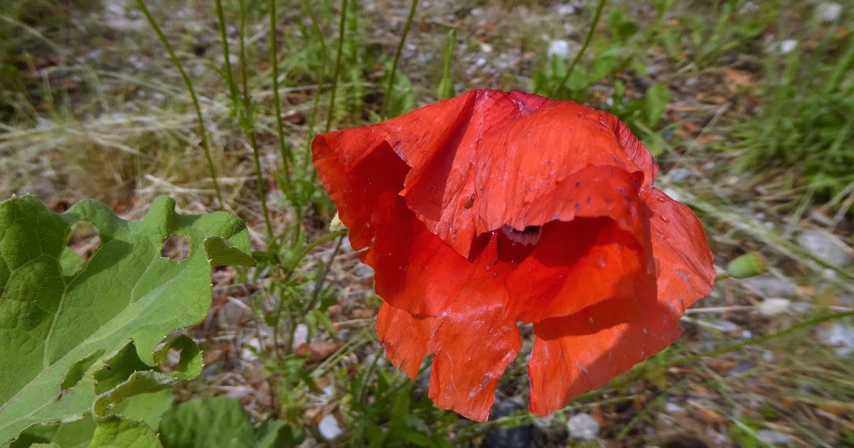 Morgen ist alles anders: In der Stille angekommen