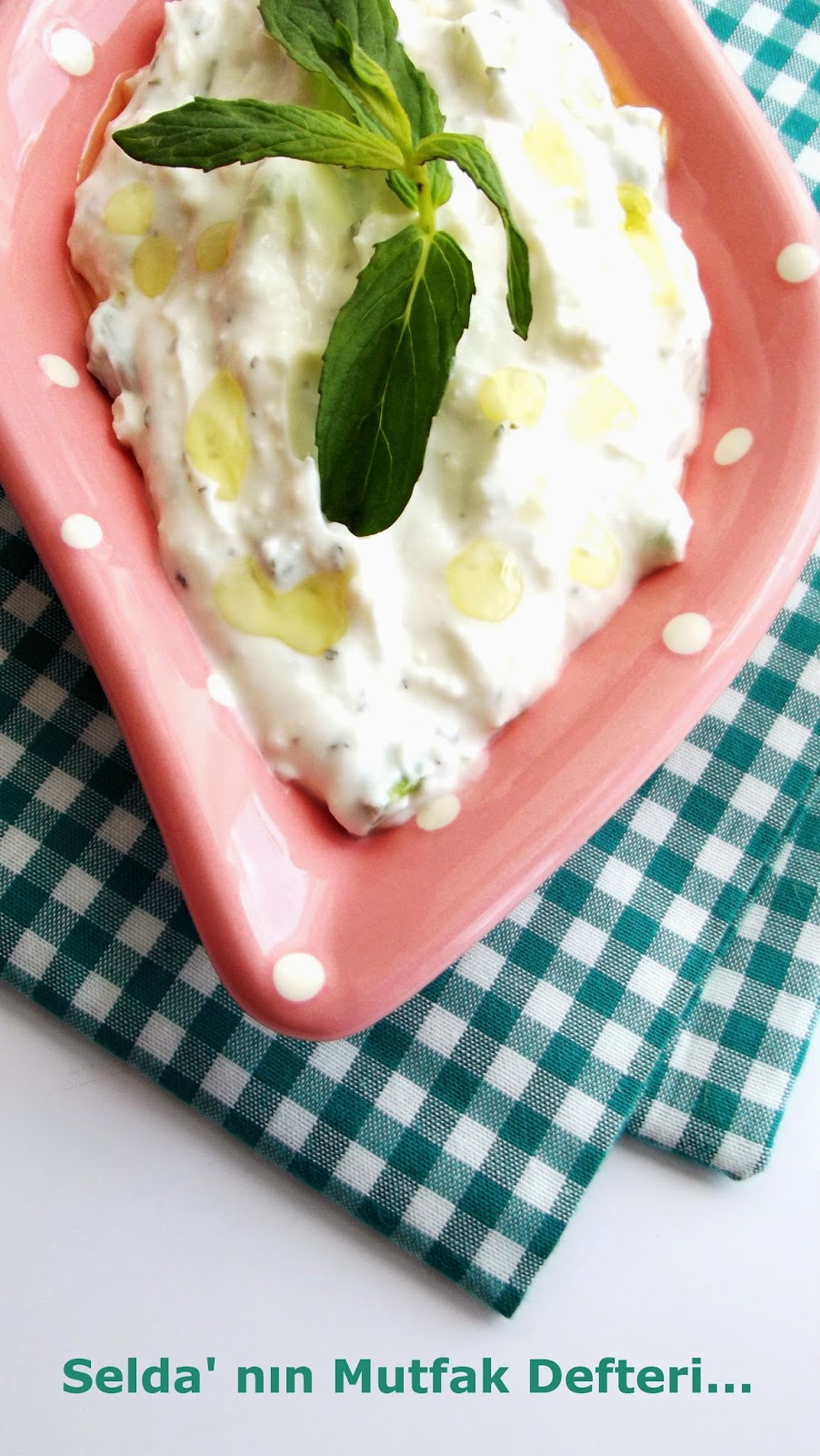 Çağlalı Haydari Tarifi – Meze Tarifleri Çağlalı Haydari Tarifi – Meze Tarifleri