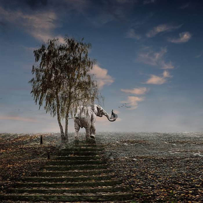  . Christine Ellger ()