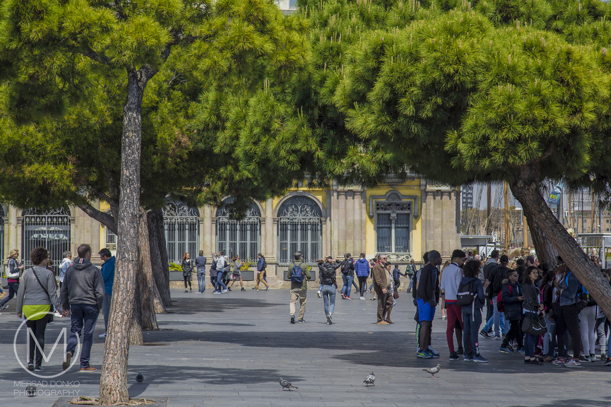 Port of Barcelona [Through My Lens Nr. 94] Mersad Donko Photography