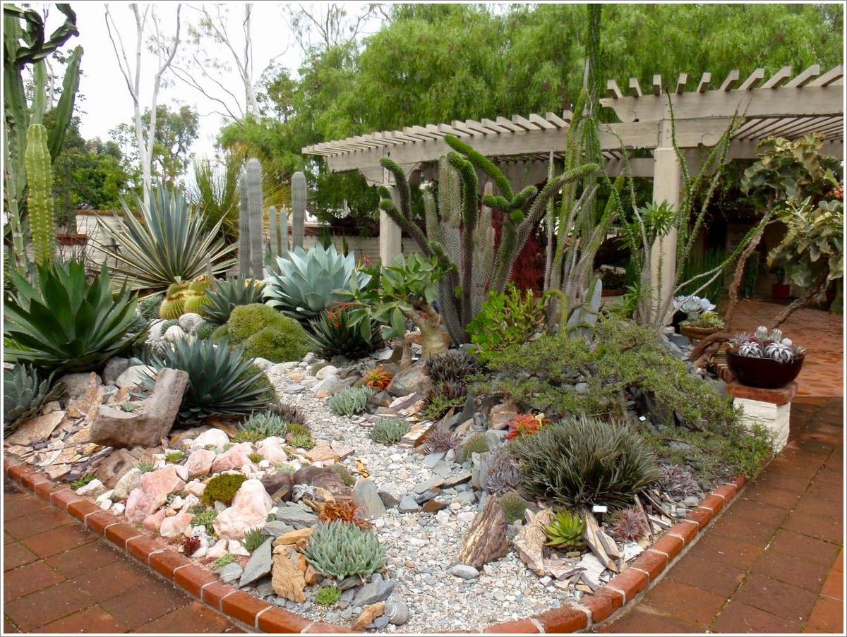 Planting Cactus and Succulents in Garden