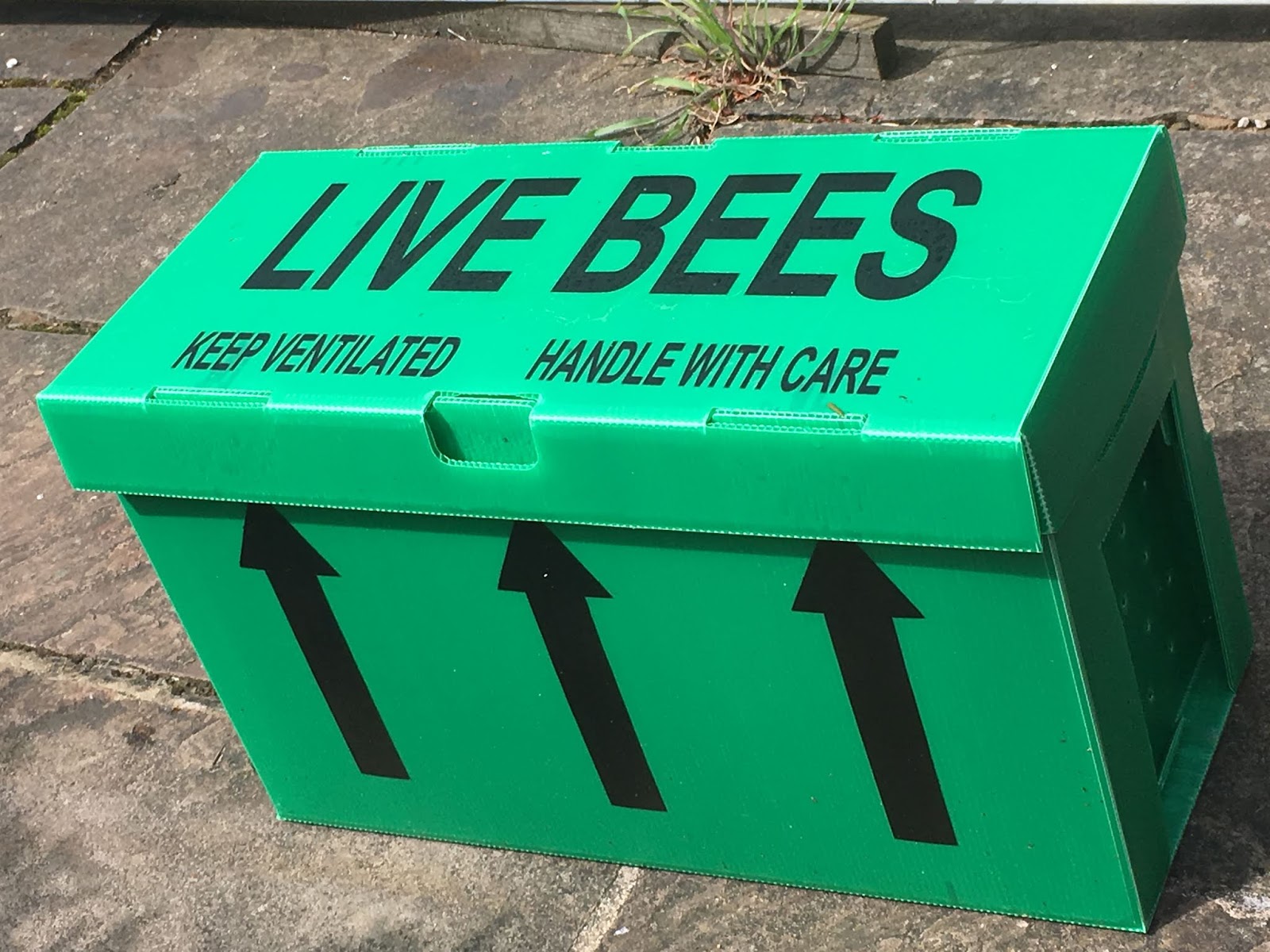 Woodside Apiary Locally bred honey bee nucs for sale