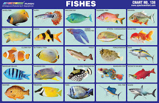 Fishes Chart