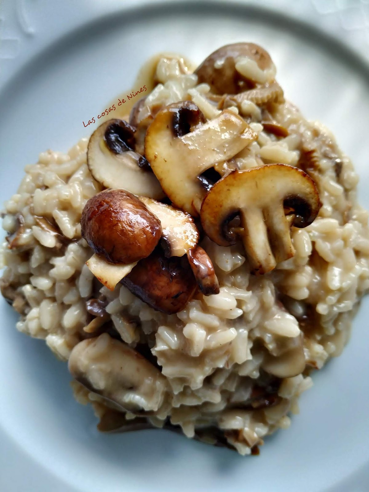 Las cosas de Nines Risotto de Setas y Portobello
