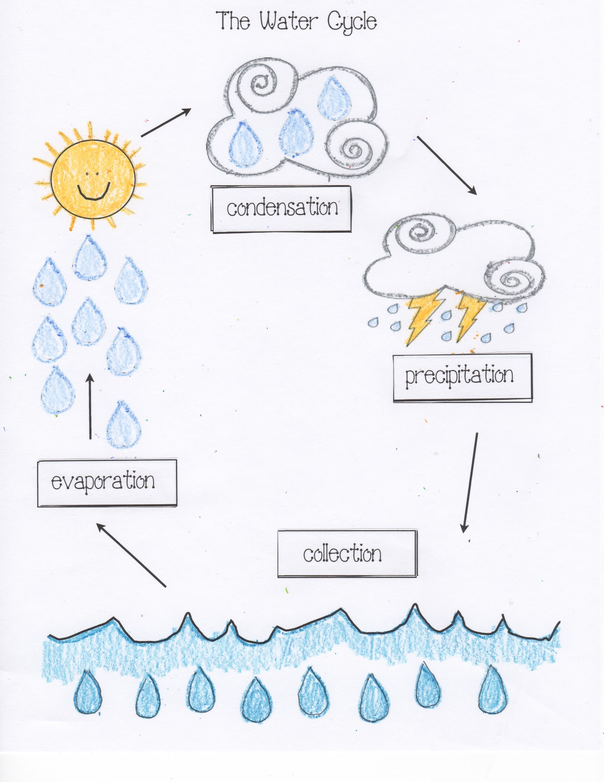 Worksheet Water Cycle Grade 4