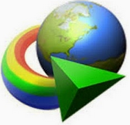 Internet Download Manager Icon Internet Download Manager 6.30 Build 8 Review
