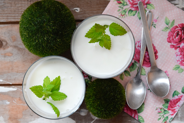 Sommerdessert Dessert Joghurt kalorienarm Sommer