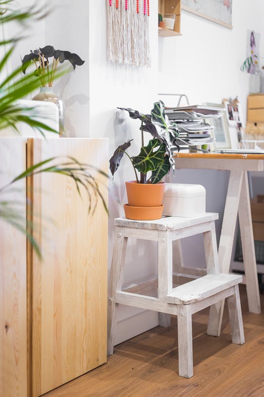 52 Interesting and unusual garden ideas for decorating a summer cottage