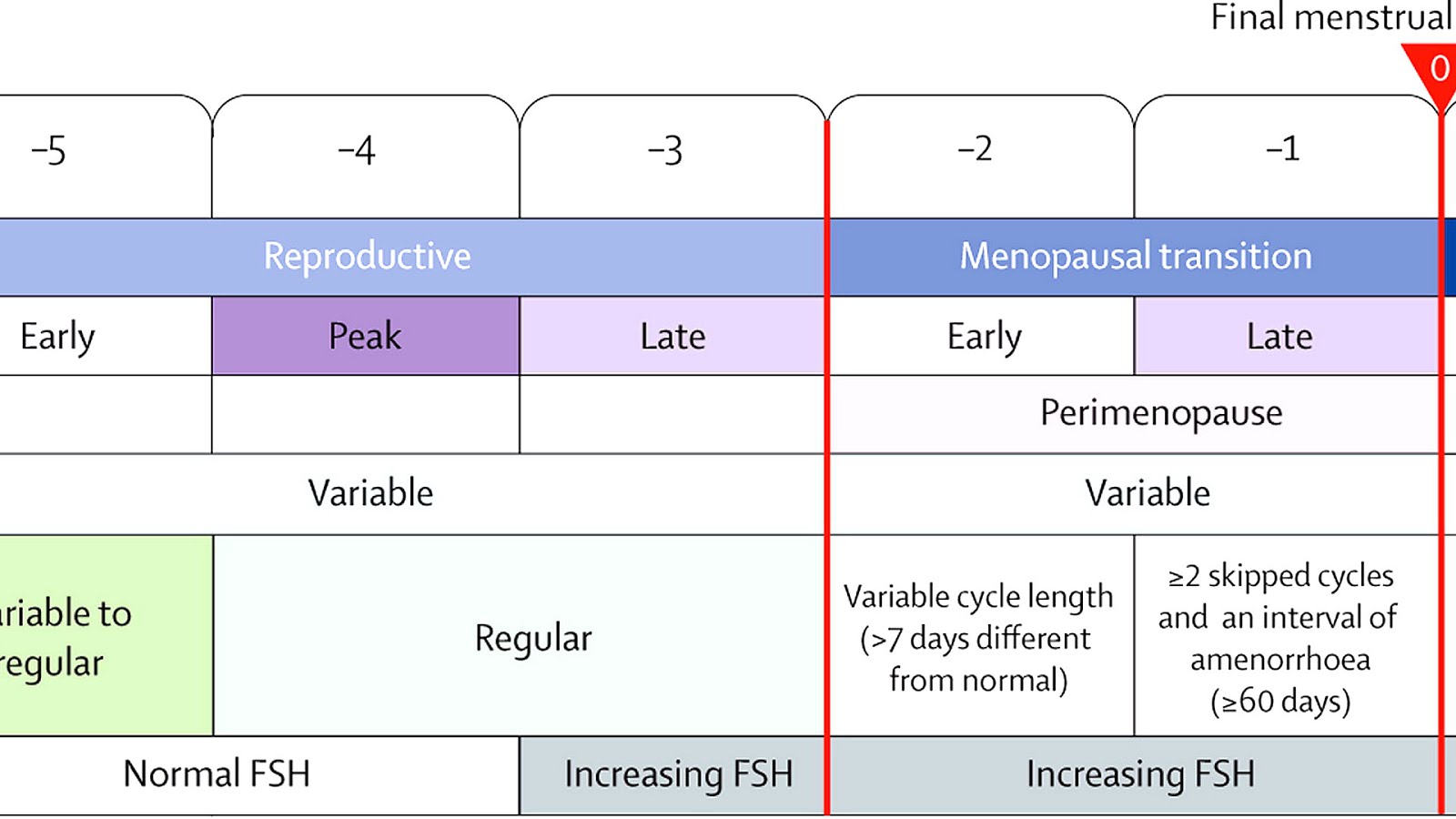 Stages Of Menopause Symptoms - Menopause Choices