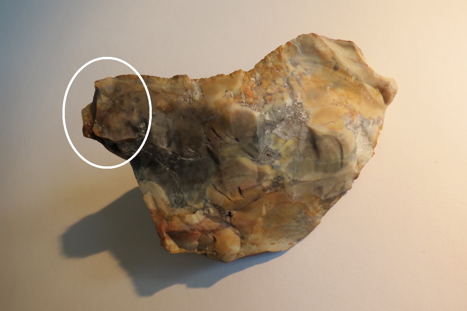 Archaeology of Portable Rock Art Arkfeld Site bird form chopper tool