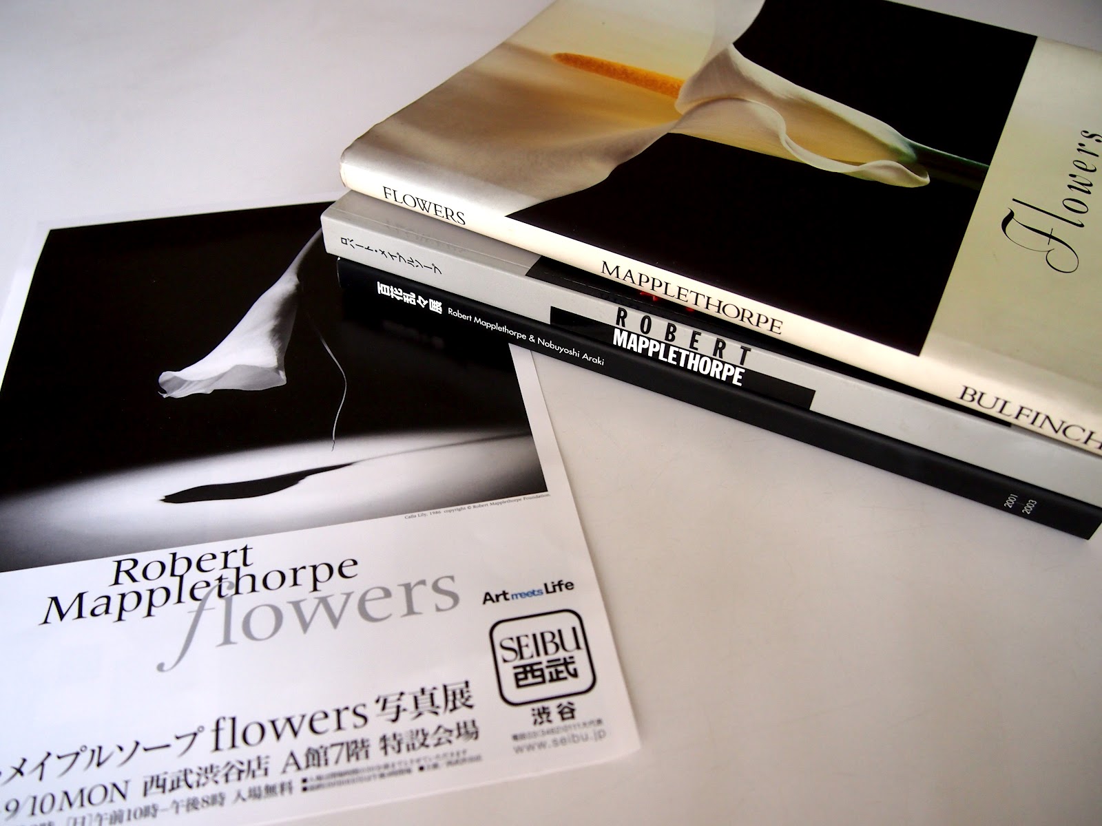 コットン 綿は主にセルロースで構成されています。