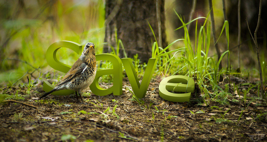 The Art of Print: 32 great examples of Typography