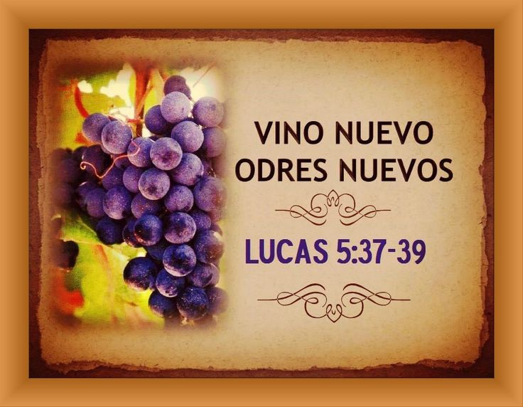 Principios Divinos “Vino nuevo en odres nuevos”