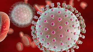 منظمة الصحة العالمية تعلن حالة طوارئ صحية دولية بسبب فيروس زيكا
