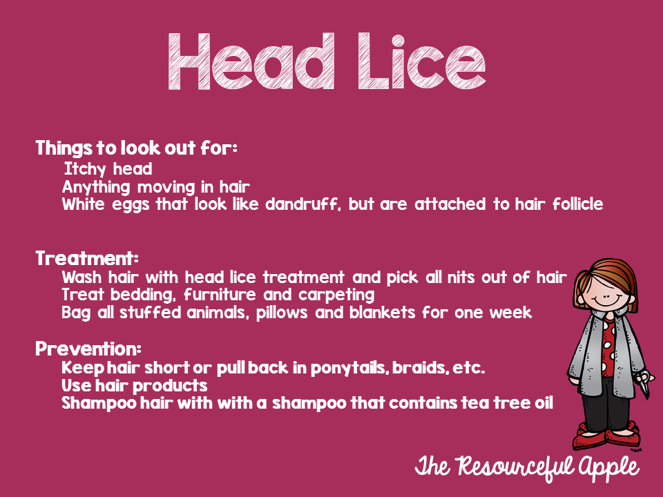 The Resourceful Apple: Head Lice, Scabies and Pin Worms ...