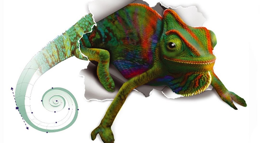 Coreldraw x3. Coreldraw с хамелеоном. coreldraw x3 заставка. корел стражи.