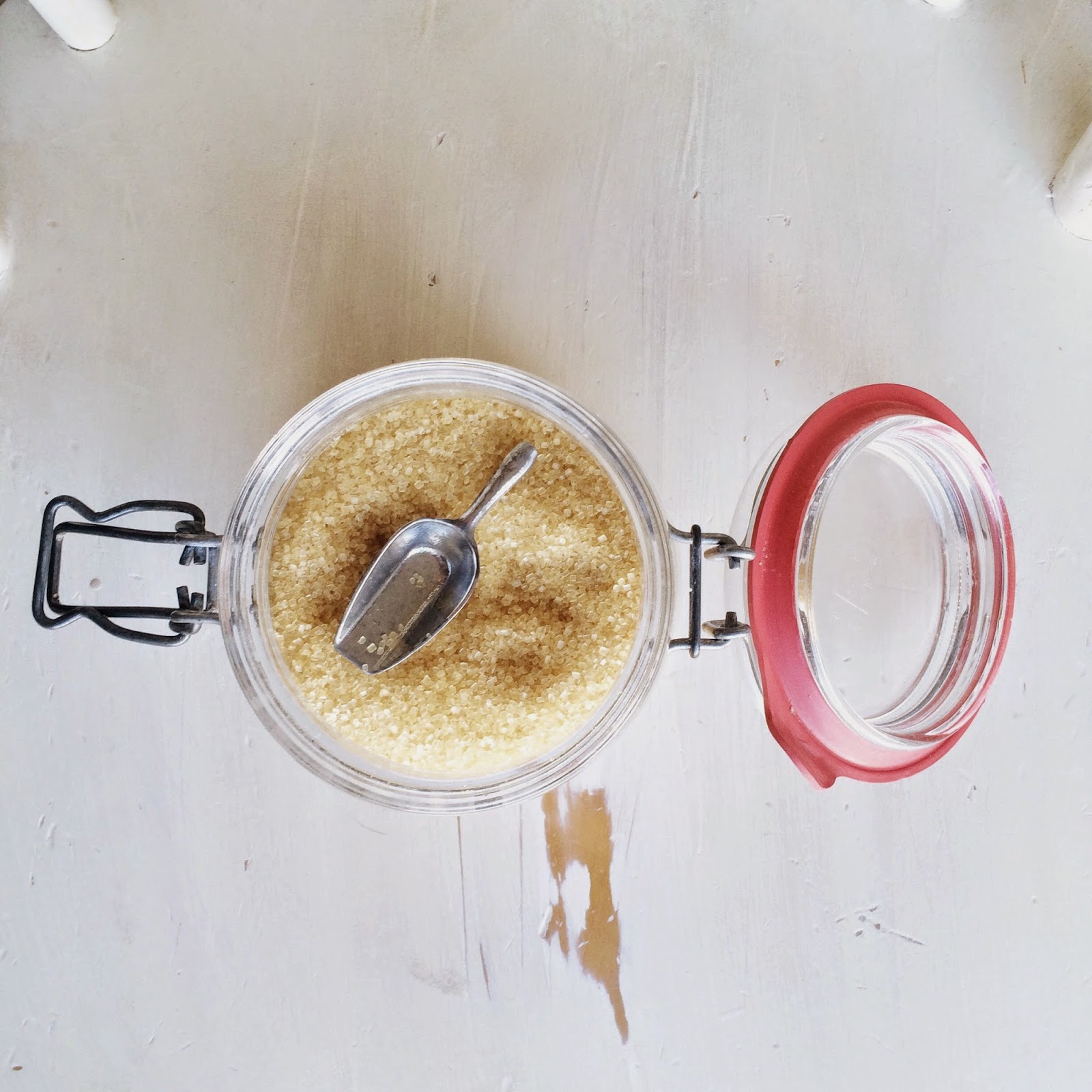 my pulled pork gave the dog diarrhea