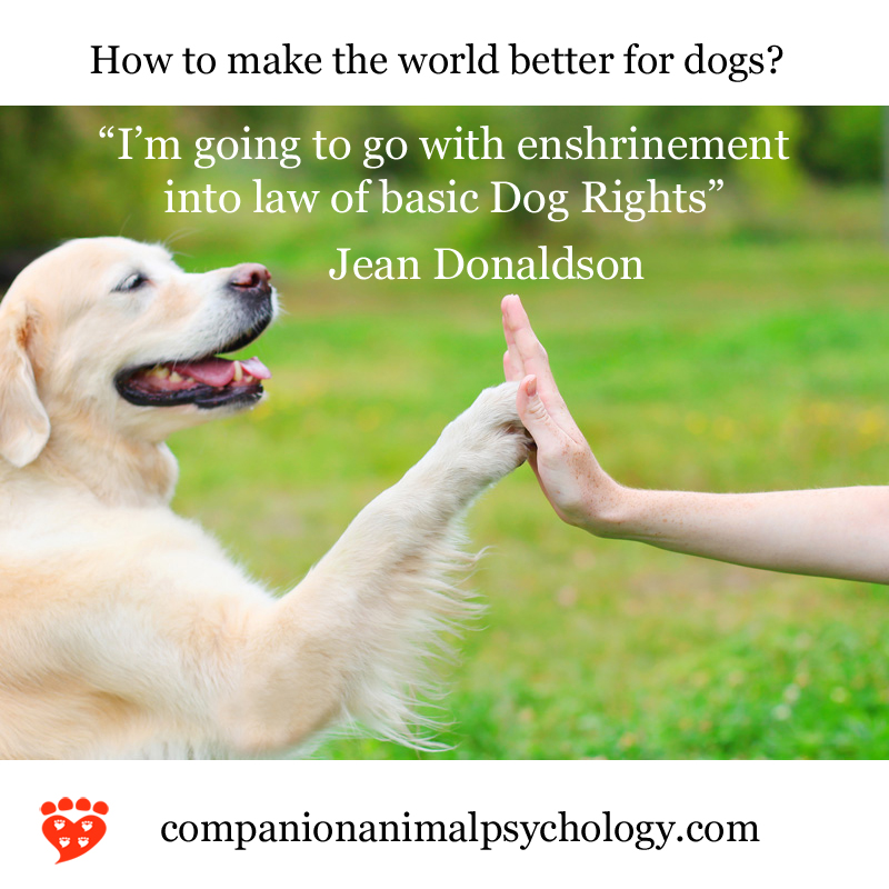 Dog Rights and Understanding the Needs of Cats