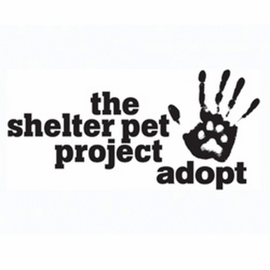 PetsNMore SHELTERS/RESCUES
