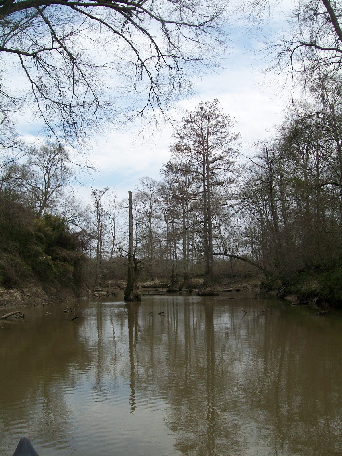 Canoe and Machete Pelahatchie Creek