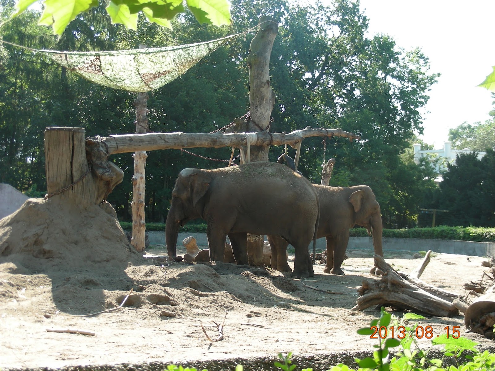 PASJE KAROLCI - DZIECI W GÓRACH: Zoo Wrocław