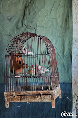 Oiseaux en papier dans une cage, créations de Miss Clara