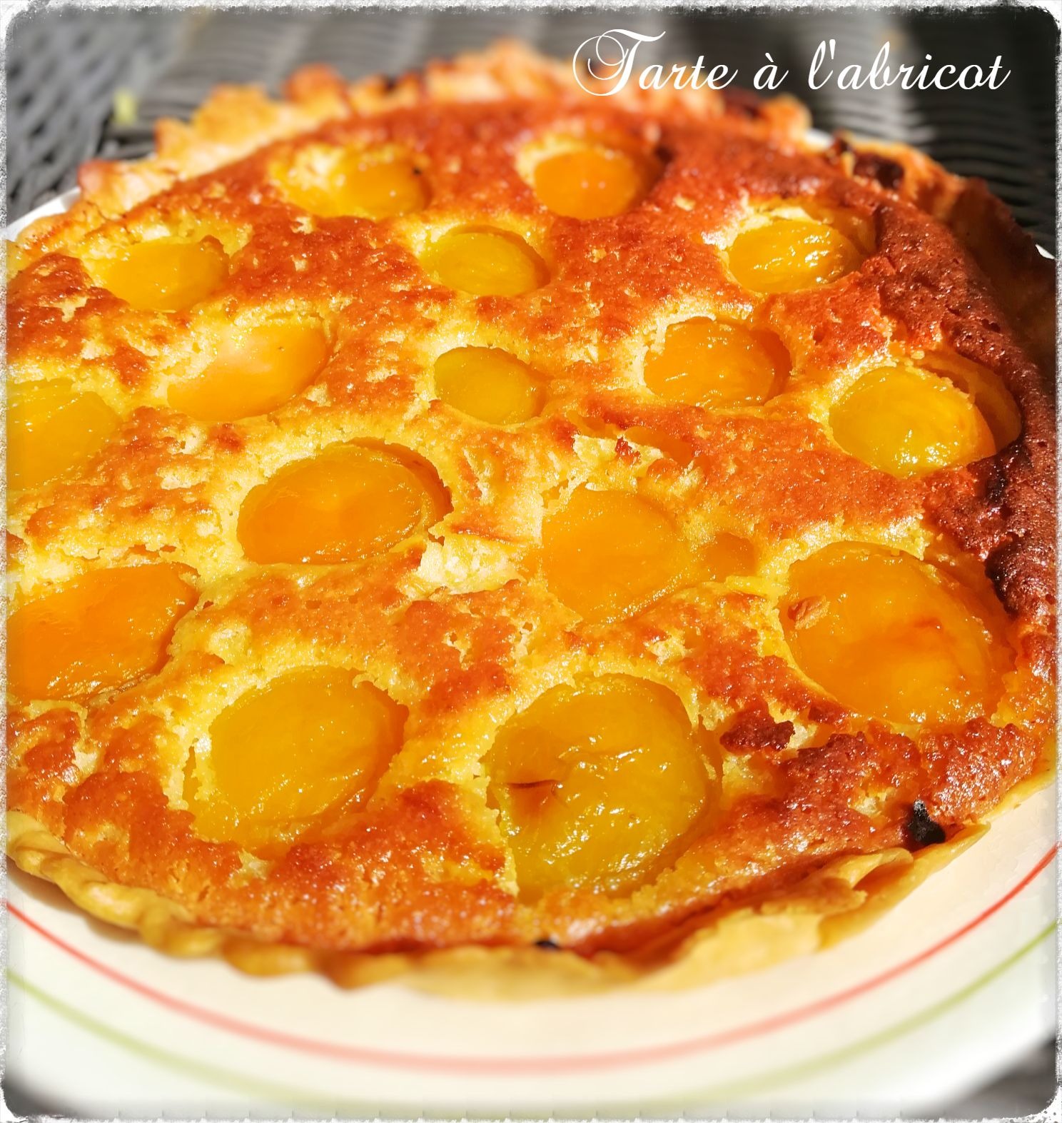 P Ef Bf Bdte C3 A0 Pizza Au Thermomix Ef Bf Bd Yummix Le