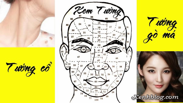 Nhân tướng học là gì ? Những điều bạn cần biết về nhân tướng học