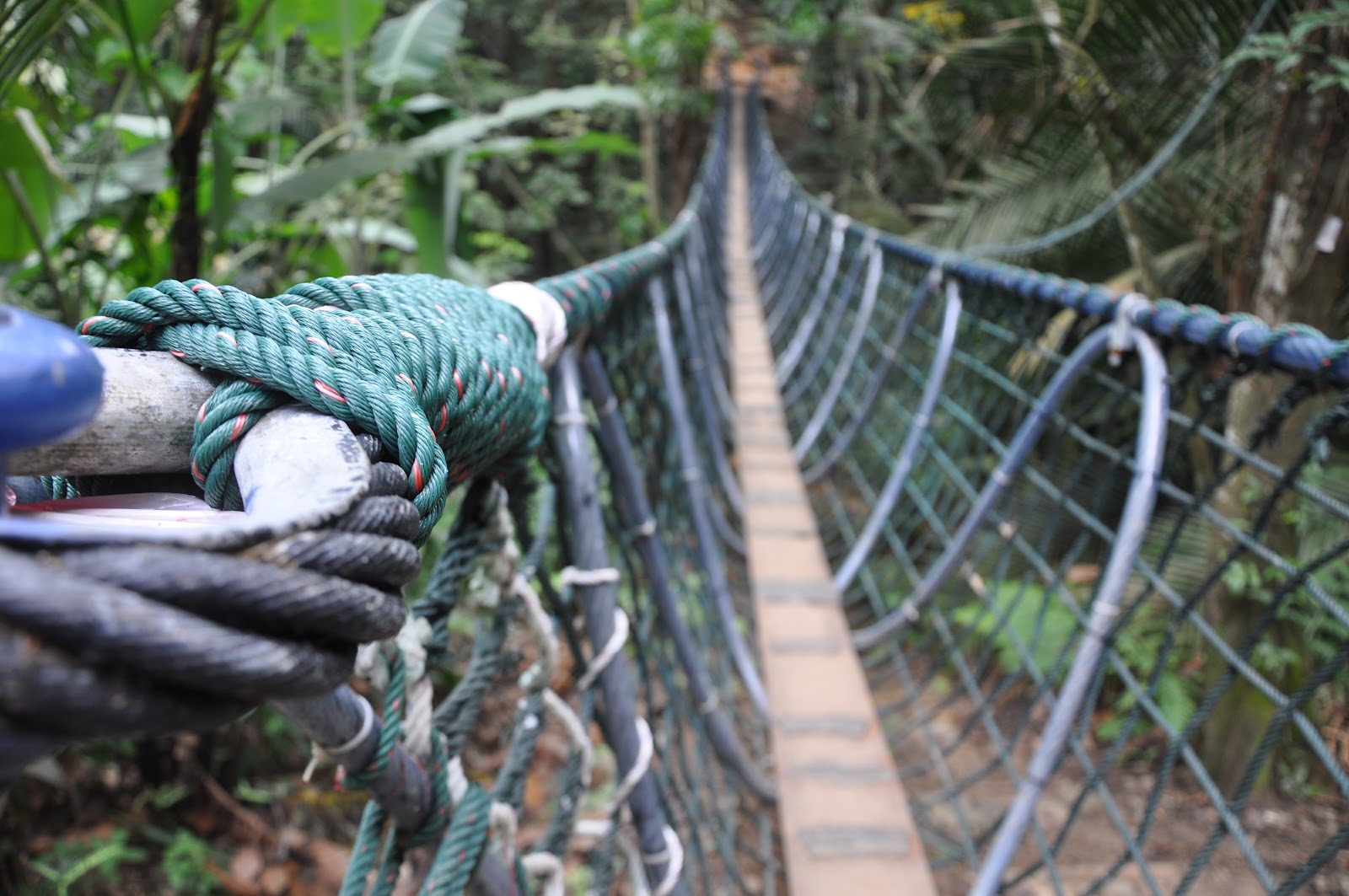 Sungai Siput Boy Hiking Taman Pendidikan Bukit Gasing Bukit Gasing