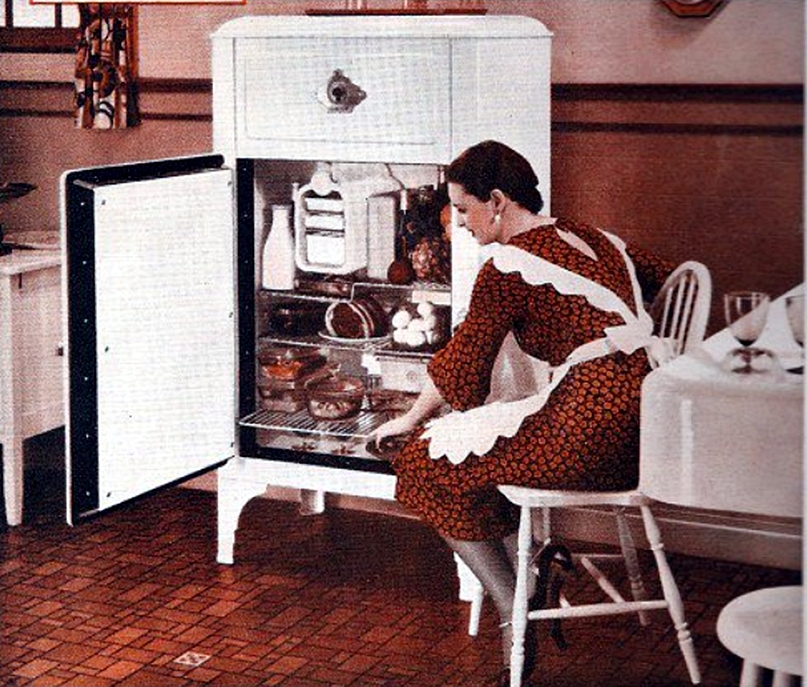 History of the fridge and refrigeration History Class
