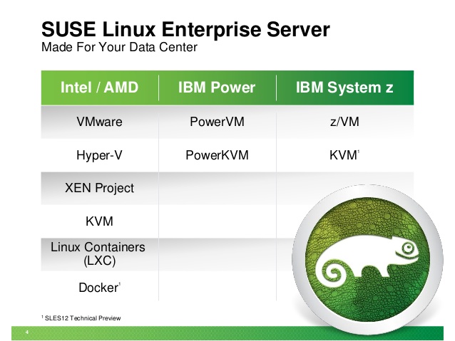 Suse Linux Server