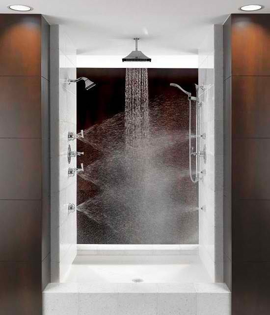 Lisa Mende Design Custom Shower Experience with Brizo