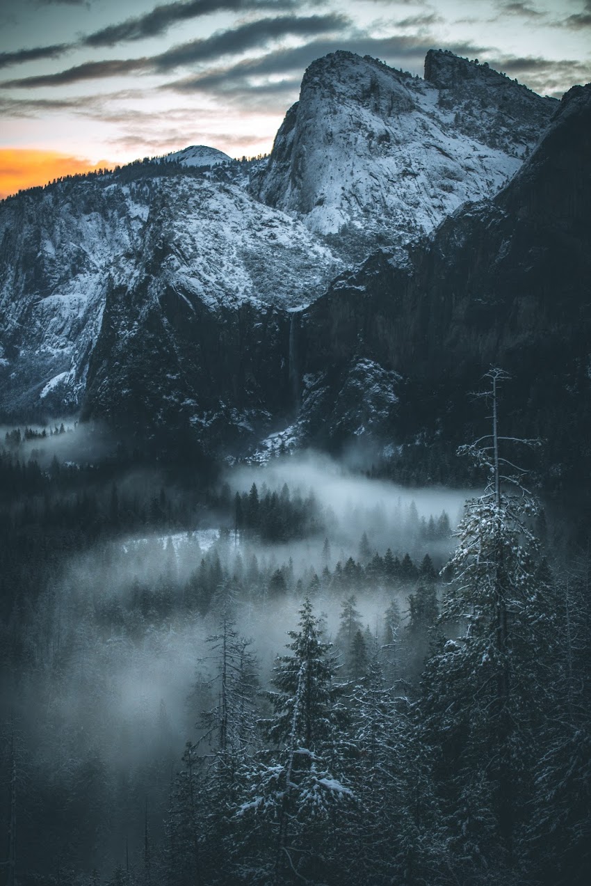 Black Forest and White Fog on the Mountain Black Forest and White Fog on the Mountain