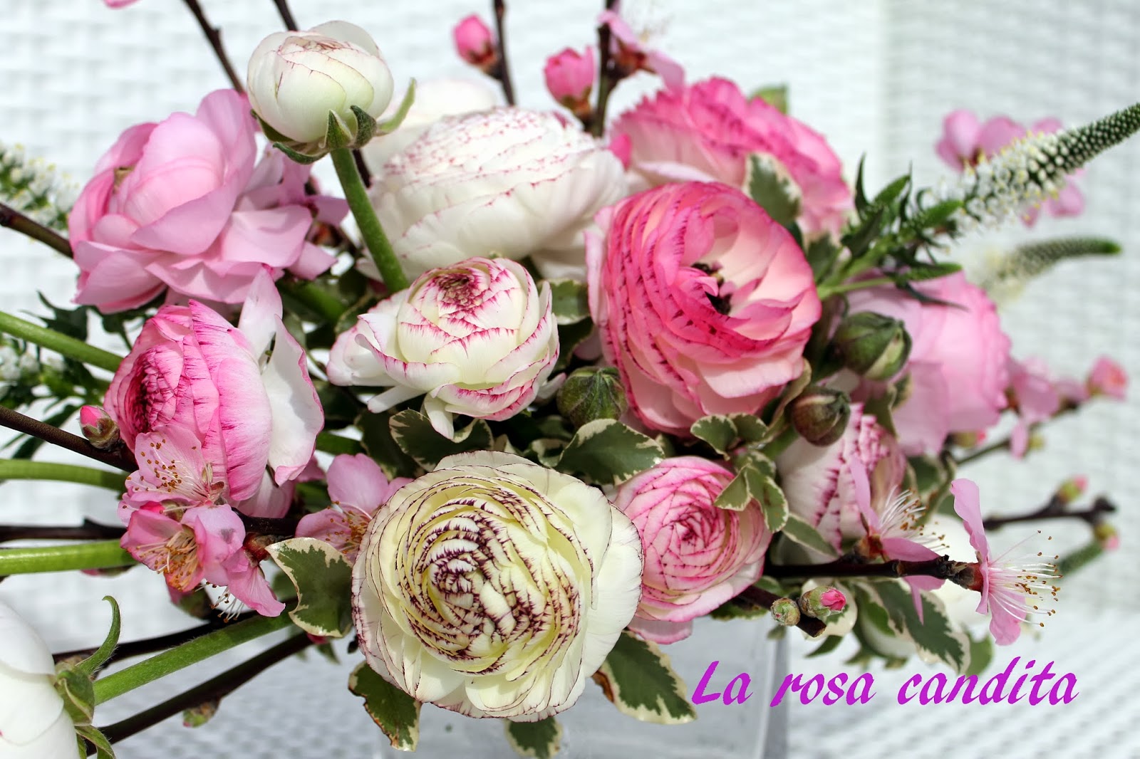 foto mazzi di fiori particolari