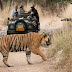 Experience the Thrill of Pench National Park with Deccan Odyssey