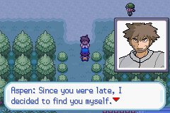pokemon wish screenshot 1