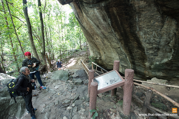 ออบหลวง ชุ่มฉ่ำ สวนสน ชุ่มชื้น
