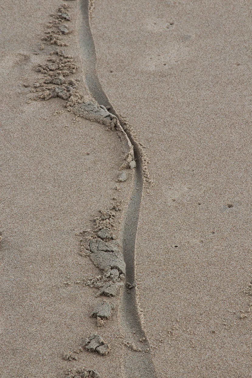 etched line in sand