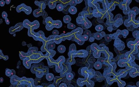 Piperlongumine, chemical from Indian pepper plant inhibits enzyme in cancer cells
