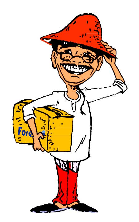 Forex jumbo box size