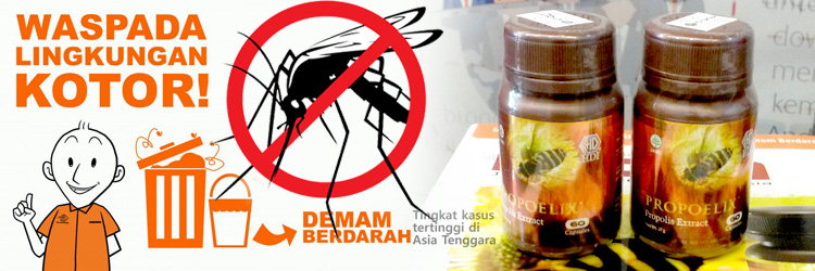 Waspada Demam Berdarah Waspada Demam Berdarah