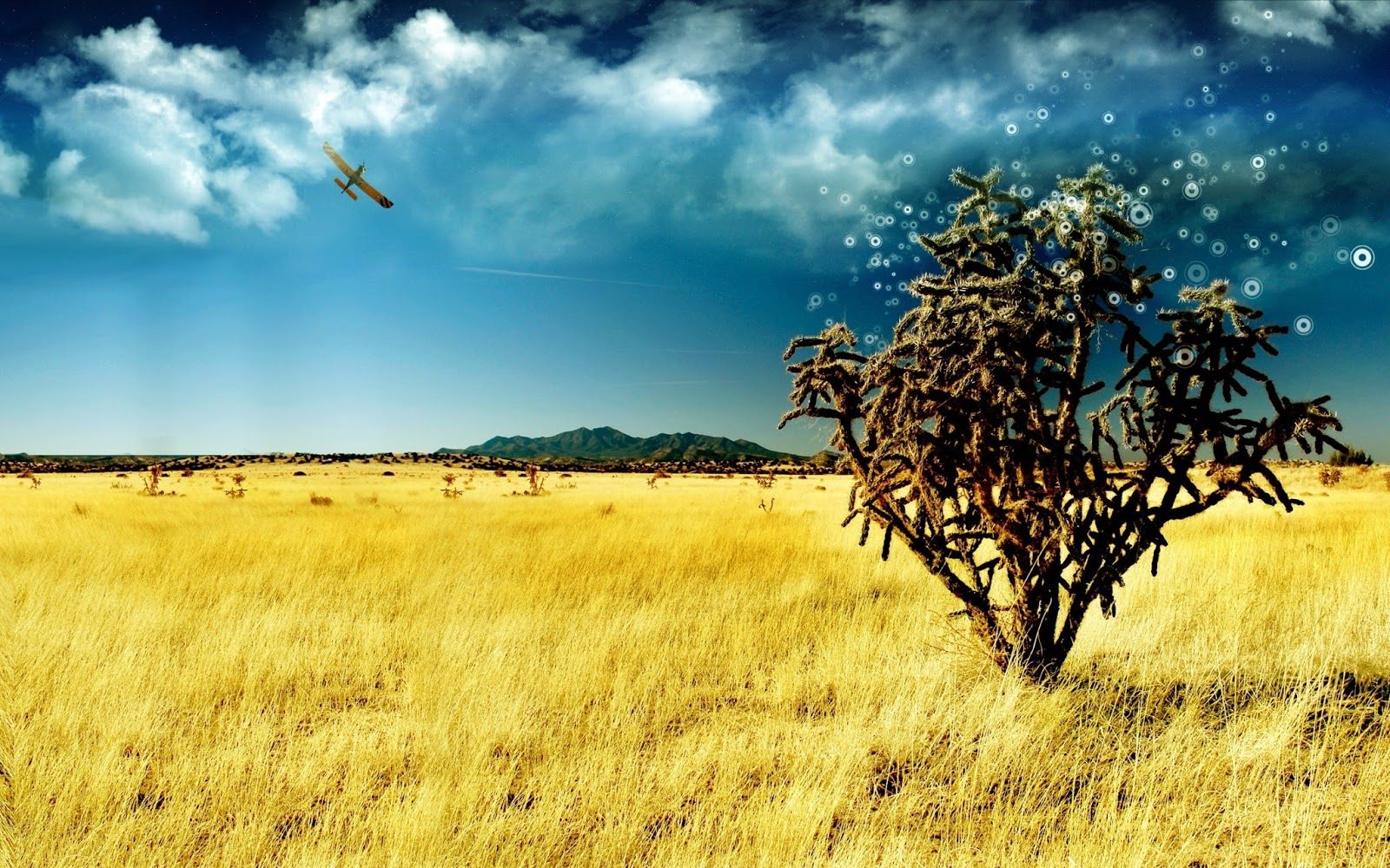 Shine HD Wallpapers Dry Wallpapers HD